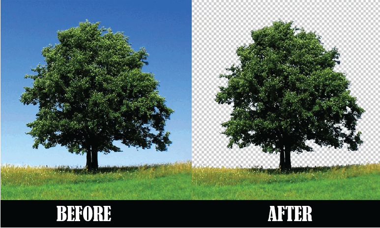 Digitizing and Vector Artwork Services